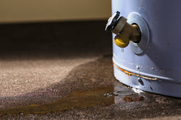 Best Residential water damage restoration  in Corrales, NM