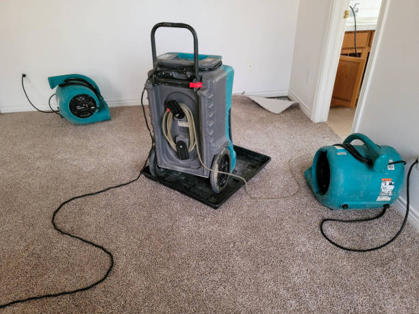 Best Water damage restoration near me  in Corrales, NM