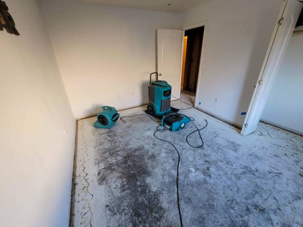 Best Carpet water damage restoration  in Corrales, NM
