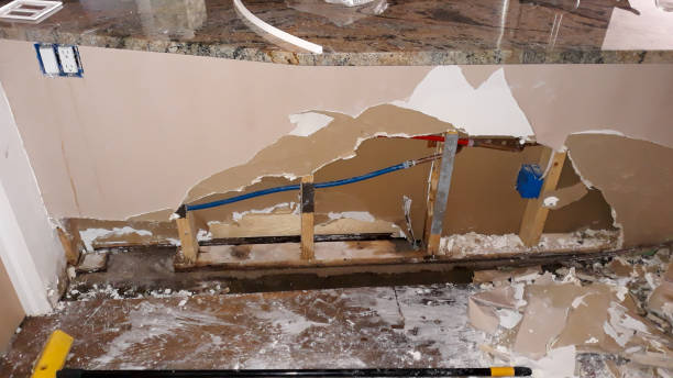 Best Water damage repair service  in Corrales, NM