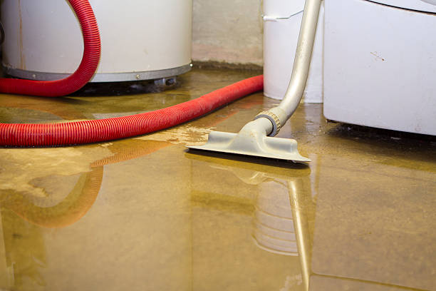 , NM Water damage restoration Company