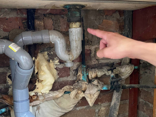 Best Local water damage restoration  in Corrales, NM