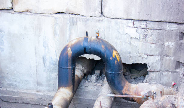 Best Water damage contractors near me  in Corrales, NM