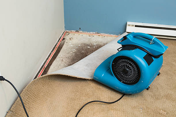 Best Flooded house restoration  in Corrales, NM